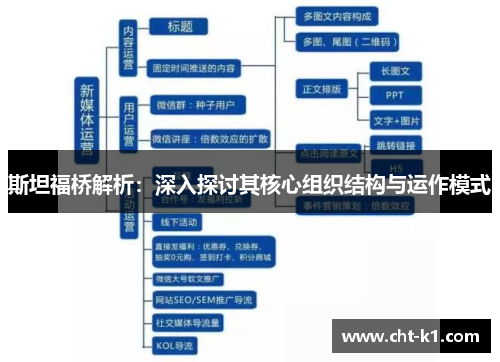 斯坦福桥解析:深入探讨其核心组织结构与运作模式 斯坦福桥解析:深入探讨其核心组织结构与运作模式