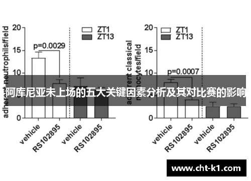 阿库尼亚未上场的五大关键因素分析及其对比赛的影响